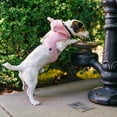 thumbnail image 3 of Gap Pet, Dog Harness, Pink Furry Hooded Dog Harness, with Recycled Polyester, Pink, 3 of 5