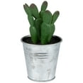 thumbnail image 3 of Northlight 3.5" Tropical Cactus in Tin Pot Artificial Potted Plant - Red/Green, 3 of 6