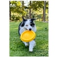 thumbnail image 5 of Dog Jump Catch and Fetch Toys Floating Interactive Foam Flyer Glider Disc FUN! (11" Random Color - Discounted), 5 of 6