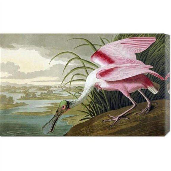Bentley Global Arts dba American Walls GCS-265883-30-142 John James Audubon 'Roseate Spoonbill' Stretched Canvas