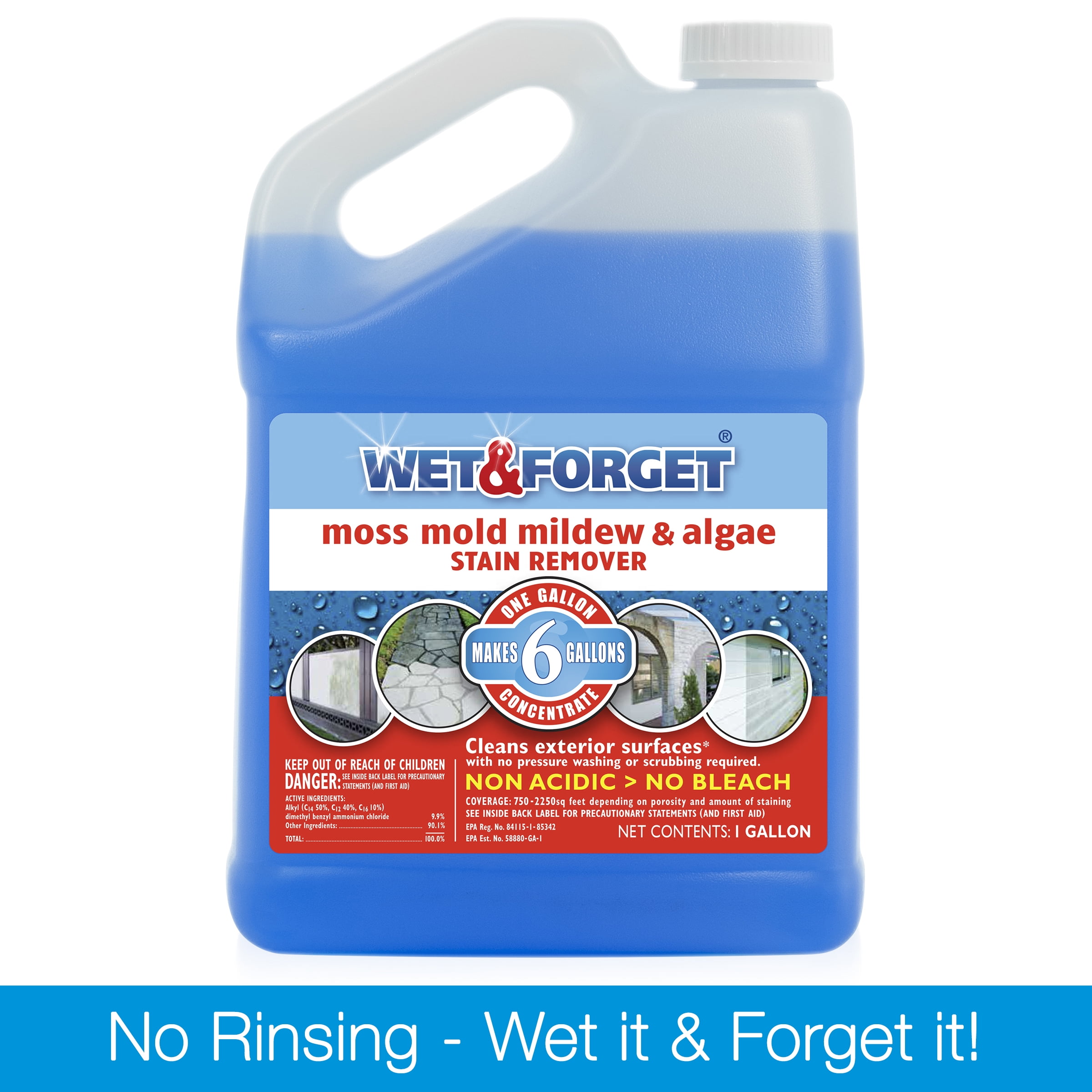 Wet & Forget Outdoor Liquid Surface Cleaner & Stain Remover, Eliminate Mold Mildew & Algae Stains