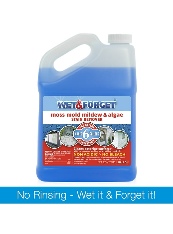 Wet & Forget Outdoor Liquid Surface Cleaner & Stain Remover, Eliminate Mold Mildew & Algae Stains, Unscented