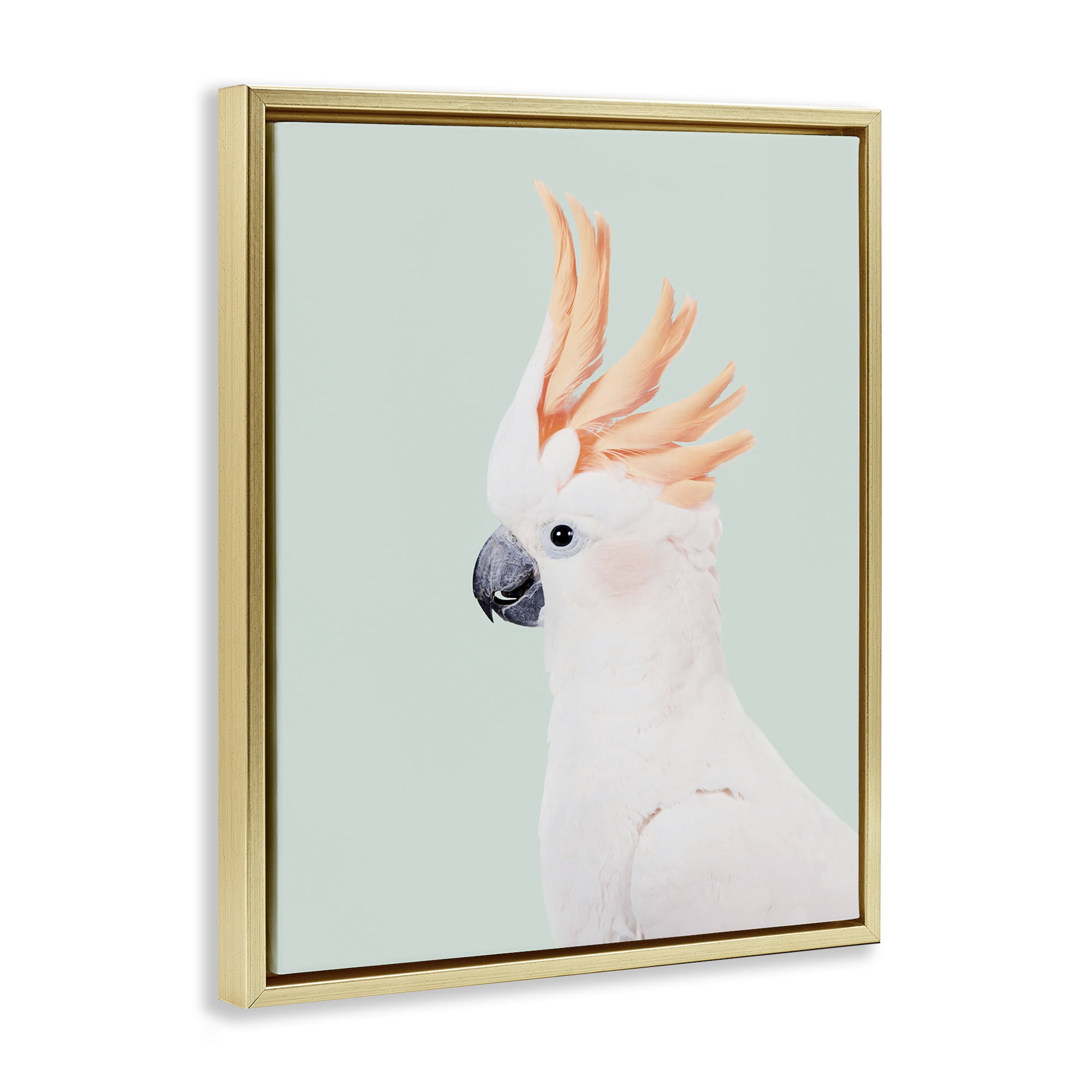 Stupell Industries White Cockatoo Portrait Animals Painting Gold Floater Framed Canvas Art Print Wall Art, 25 x 31