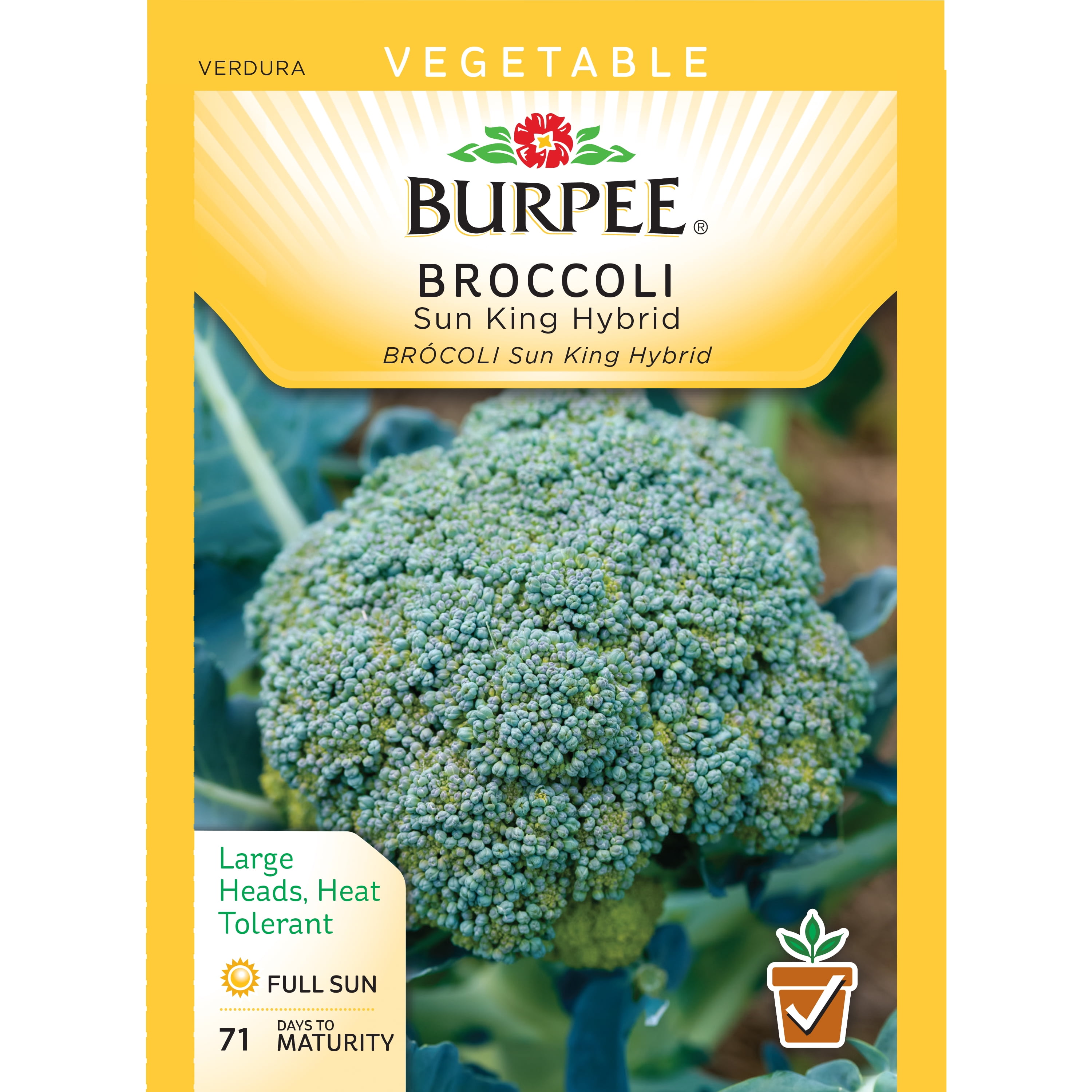 Broccoli Sun King Vegetable Seeds NON-GMO Burpee 700mg 11/21 