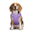 thumbnail image 3 of Pechera Arnés Con Correa Para Perro Talla XS Lab.G Morado, 3 of 5