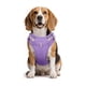 thumbnail image 3 of Pechera Arnés Con Correa Para Perro Talla XS Lab.G Morado, 3 of 5