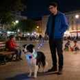 thumbnail image 4 of FeiFu LED Light-Up Dog Leash USB Rechargeable Luminous Traction Rope Adjustable Reflective Pull Strap Glow in the Dark Safety Leash for Night Walking, 4 of 6