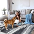 thumbnail image 5 of SARAG 5'x7' Area Rug for Living Room, Washable Indoor Non-Slip Carpet for Bedroom Dining Room Office Kids Room Nursery,Black Gray, 5 of 10