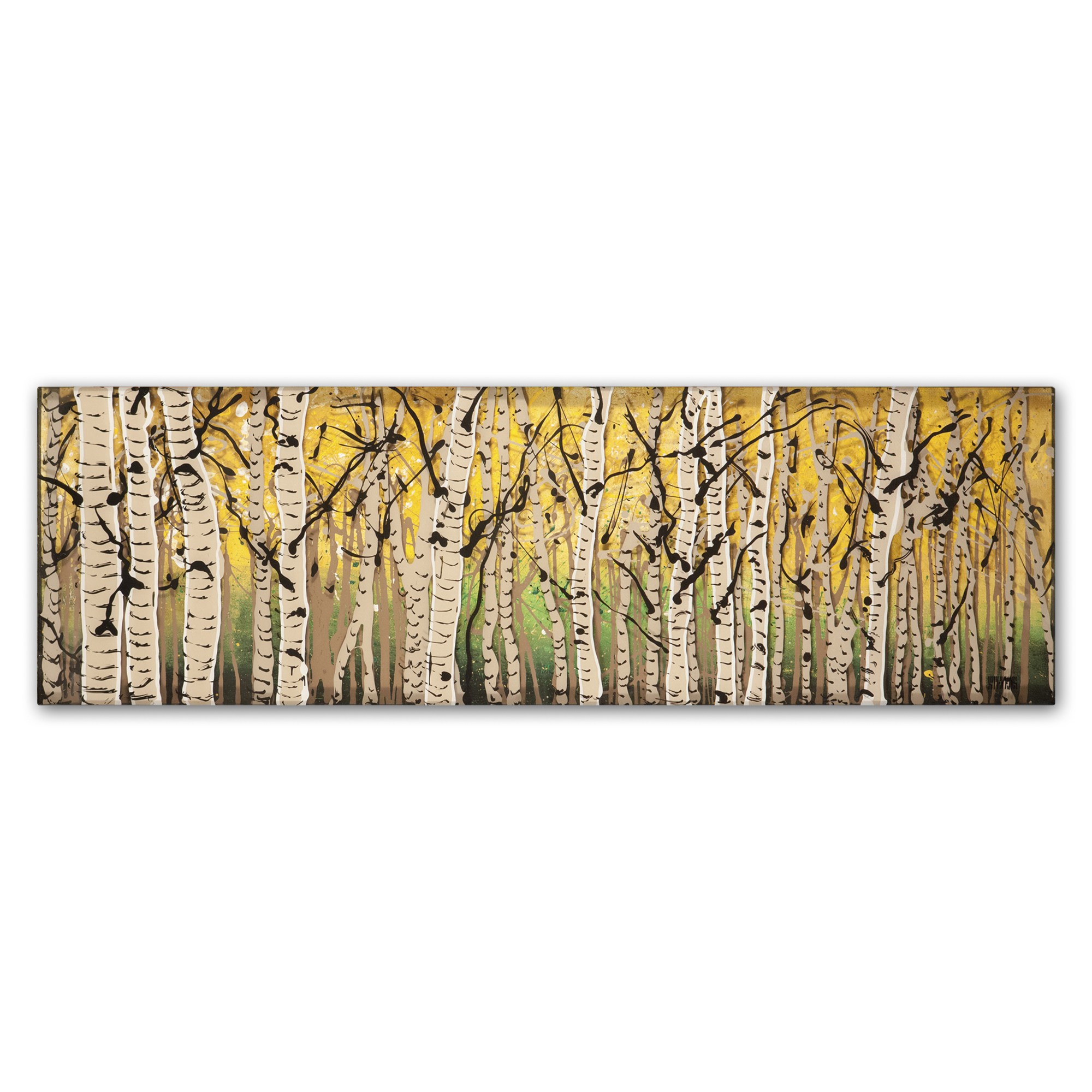 Trademark Fine Art "PanorAspens Fall Begins" Canvas Art by Roderick Stevens
