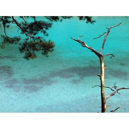 Canvas Print Upper Styria Plant Lake Austria Water Nature ...