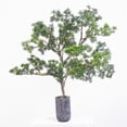 thumbnail image 3 of Decoración de plantas artificiales Greenery Wealth Grass + Thuja sutchuenensis Franch 37cm Yuyangstore Decoración De Plantas Artificiales, 3 of 7