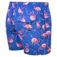 thumbnail image 4 of TRAJE DE BAÑO CORTO PARA HOMBRE SECADO RÁPIDO MAUI AND SONS  323356, 4 of 7