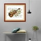thumbnail image 2 of Kits de punto de cruz Gloria Animales búhos 14CT 11CT Flores y violín 32 x 24cm 11CT, 2 of 8