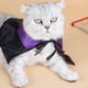 thumbnail image 4 of Capa de sombrero para mascotas, capa para perros y gatos, vestido de fiesta para festivales de mascotas, 4 of 5