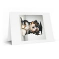 thumbnail image 2 of DistinctInk Greeting Card / Note Card - Biewer Terrier Puppy Graduation - PACK of 25, 2 of 7