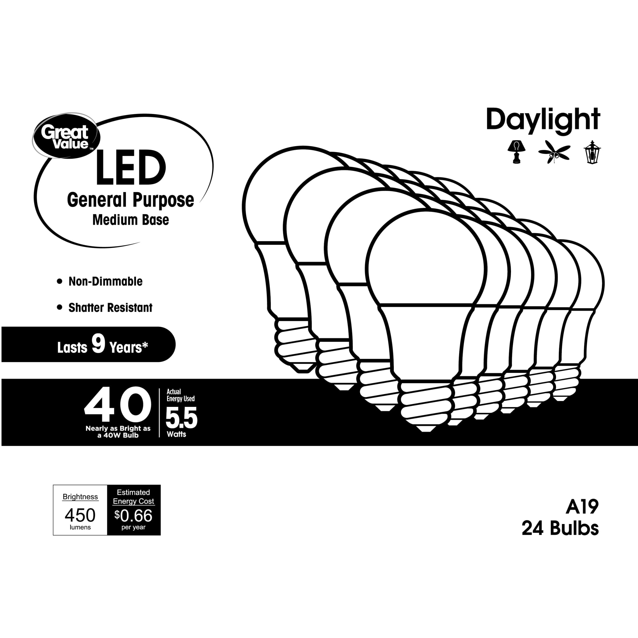 GV 40W 9YR DL 24PK