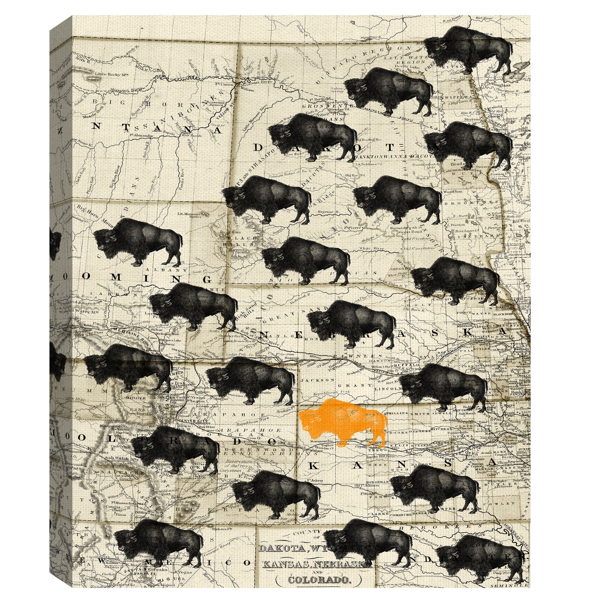 Masterpiece Art Gallery Where The Buffalo Roam Midwest Map By GI ArtLab Canvas Art Print 16" x 20"