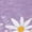 Purple, variant on UNISHE Women's Spring Daisy Bouquet V-Neck Sleeveless T-Shirt S-5XL Leisure Tank Top