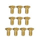 thumbnail image 1 of Tornillos de Interruptor de Guitarra Eléctrica SQ Dorado 10PCS, 1 of 8