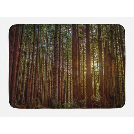 Forest Bath Mat, Redwood Forest in California USA Nature Outdoors Landscape Woods Park, Non-Slip Plush Mat Bathroom Kitchen Laundry Room Decor, 29.5 X 17.5 Inches, Redwood Green Yellow, (Best Redwood Parks In California)