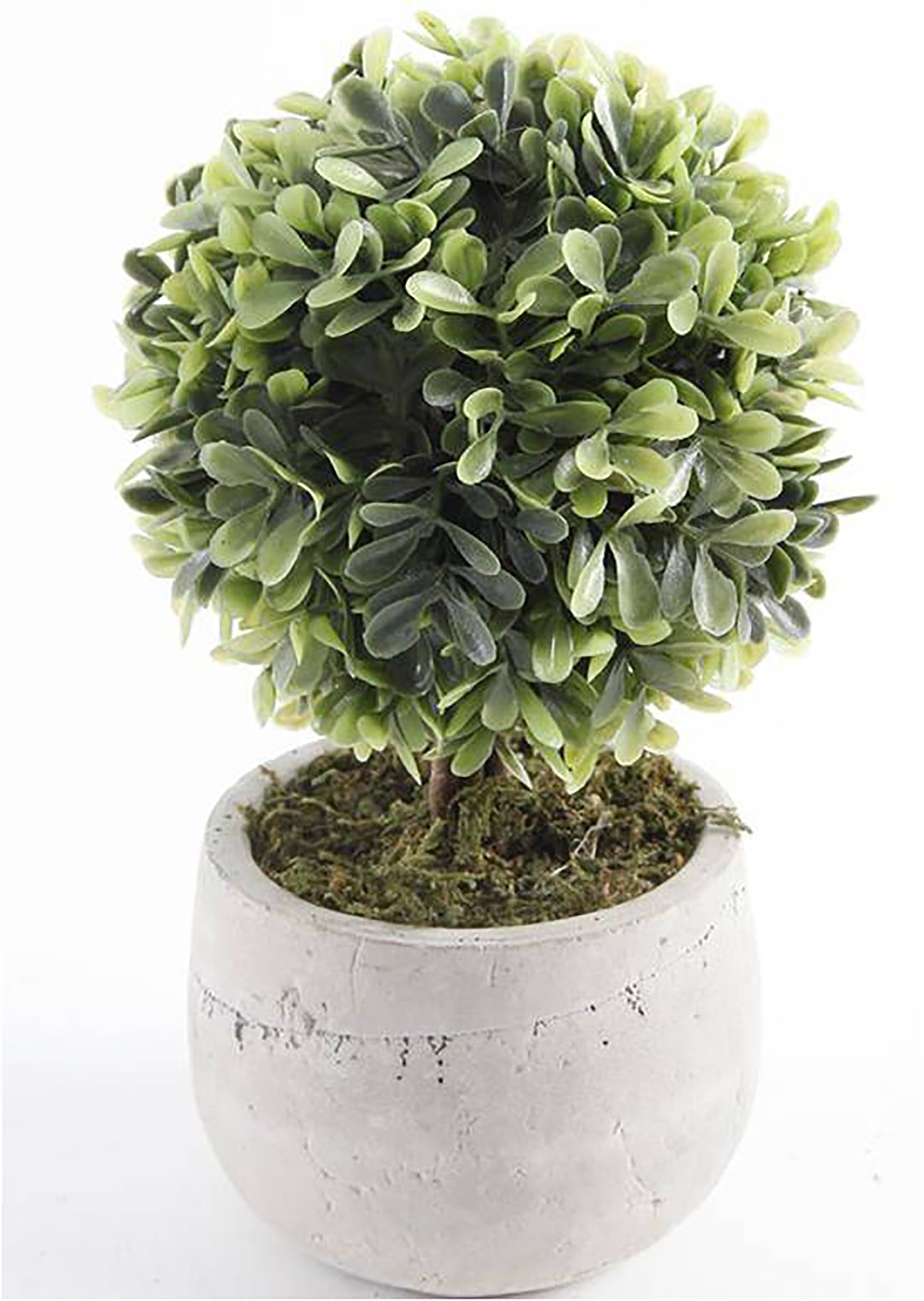 Mainstays 7.5" Artificial Mini Boxwood Topiary in Gray Cement Planter (7.5"H x 4.5"W x 4.5"D)