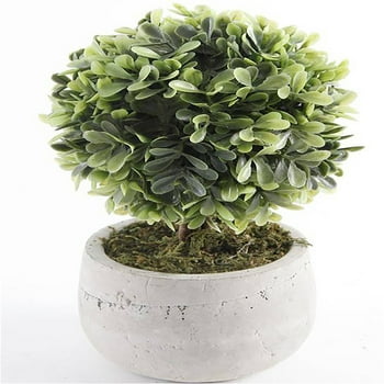 Mainstays 7.5" Artificial Mini Boxwood Topiary in Gray Cement er (7.5"H x 4.5"W x 4.5"D)