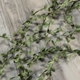 thumbnail image 2 of unbranded  77 M Faux Hydrangea Flowers Vines for Bedroom DIY Decor, 2 of 8