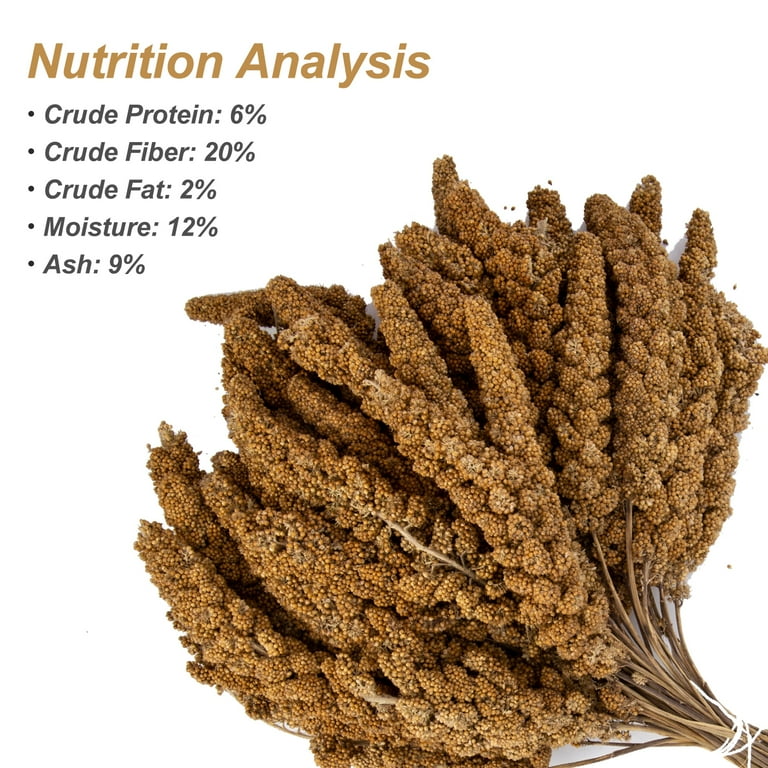 Amzey 5.5 LB Natural Golden Spray Millet Treat for Pet Birds