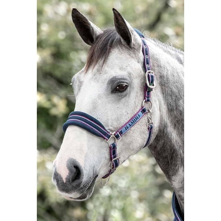 Rambo Padded Halter, Navy (Burgundy/Dusty Blue Trim), Size: Horse