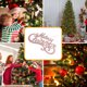 thumbnail image 1 of Adorno navideño rosa para árbol de Navidad, ideal para colgar en fiestas | Bolsas de regalo con lazos rosas y hongos de espuma | Espuma plástica duradera de 20 x 10 cm | Ideal para centros de mesa,, 1 of 6