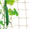 thumbnail image 4 of Jute Plant Support Netting,Bexikou 1.8m*2m Garden Pea Bean Net,Eco-Friendly Climbing Plant Trellis Rope Netting,Natural Twine Net for Garden Bean Fruits Climbing Plants Sweet Peas, 4 of 7