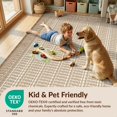 thumbnail image 4 of Design&I 4'x6' Washable Area Rug Flatweave Daily Traffic Ready Entryway Ru Basketweave Grid Entry Contrasting Border Door Front for Dorm Room, Living Apartment, 4 of 7