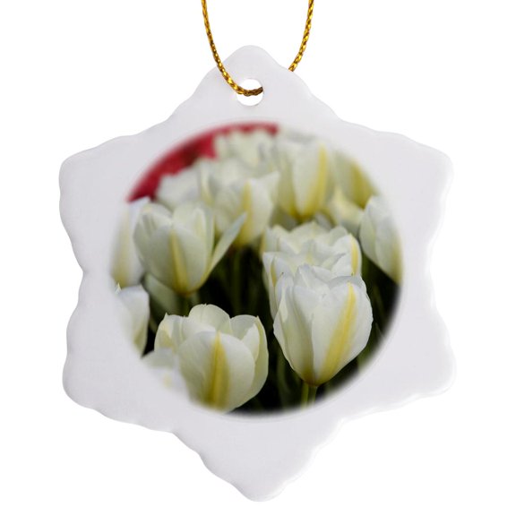 3drose, Tulip Field, the Netherlands - Eu20 Dbn0032 - David Barnes, 3 inch Snowflake Porcelain Ornament