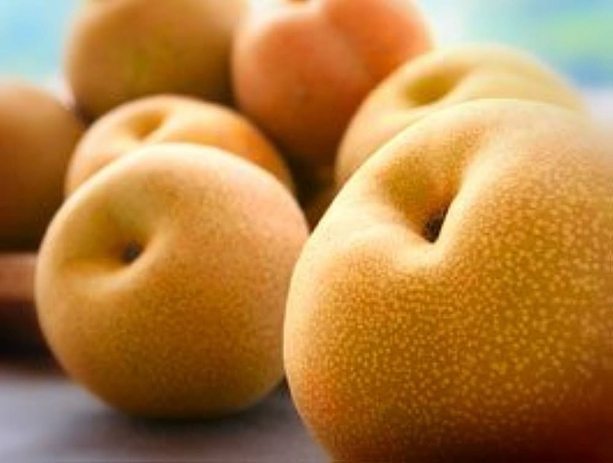 Fresh Asian Pears, Each