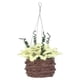 thumbnail image 5 of Cesta colgante decorativa de resina, exquisita cesta colgante en miniatura para Mini casa de muñecas 1:12, 5 of 5