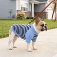 thumbnail image 6 of Deago Dog Striped T-Shirt with Leash Ring Warm Breathable Winter Pet Apparel Colorful Soft Puppy Sweatshirt Clothes for Small to Medium Dogs Puppy (Blue, S), 6 of 8