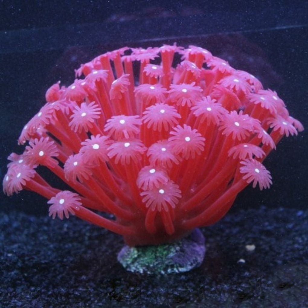Artificial Sea Anemone Imitated Coral Ornaments 15*10cm For Fish Tank
