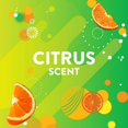 thumbnail image 2 of Scrubbing Bubbles® Toilet Bowl Cleaner, Triple Action, Citrus Scent, 710mL, 2 of 5