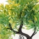 thumbnail image 4 of BEADCEST De Planta Artificial Para Acuario Árbol Plástico Para Paisaje Natural, 4 of 6