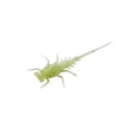 thumbnail image 1 of Bernie (PanfishPlastics), 1 of 1