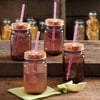 The Pioneer Woman Simple Homemade Goodness 16 Ounce Plum Mason Jar with Lid, 4 Count