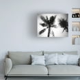 thumbnail image 2 of Trademark Fine Art 'Palm Tree Looking Up II' Canvas Art by Debra Van Swearingen, 2 of 4