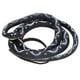 thumbnail image 1 of Serpiente Falsa Modelo Simulada Boa Coliflor Entera Infantil ANGGREK Otros, 1 of 8
