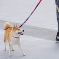 thumbnail image 4 of Correa elástica de cuerda para perros grandes y medianos con antitirones para absorción de impactos, sin correa reflectante para exteriores, 4 of 8
