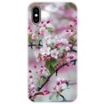 thumbnail image 1 of Funda de silicona blanda pintada para iphone, carcasa trasera de TPU, a prueba de golpes, para x, xs, max, xr Fivean unisex, 1 of 2