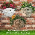 thumbnail image 6 of Homestyles Mr. Sun Shine Muggly Face Tree & Patio Wall Garden Statue Planter, 6 of 6