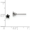 thumbnail image 3 of Stainless Steel Polished 4mm Black Star Cz Stud Post Earrings (4.51 X 4.47) Made In China sre1123, 3 of 5