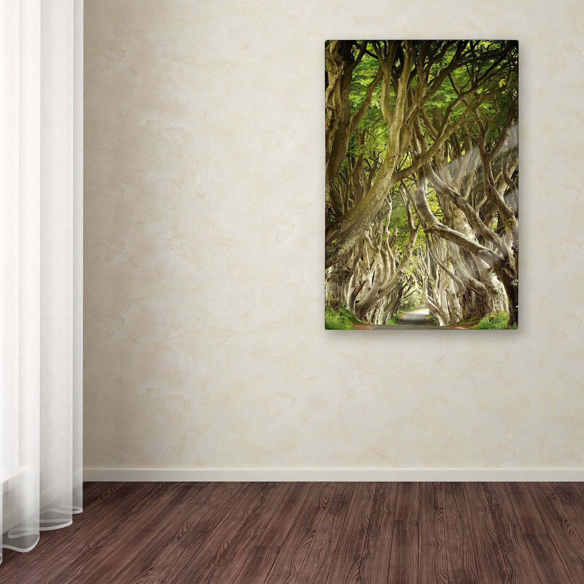 Trademark Fine Art "The Way It Is" Canvas Art by Philippe Sainte-Laudy