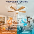 thumbnail image 3 of Eowynic 42 Inch Modern White Ceiling Fans With Lights and Remote, 5 Solid Wood Blades, Reversible DC Motor, 3 of 13