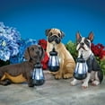 thumbnail image 4 of Bits and Pieces 9" Dachshund Dog Garden Statues, Solar Lantern, 4 of 7